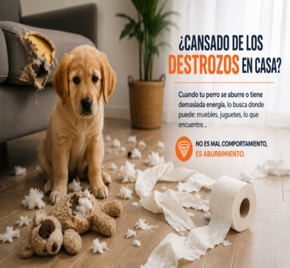 🐶✨ Pelota Inteligente Interactiva para Perros